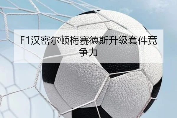 F1汉密尔顿梅赛德斯升级套件竞争力