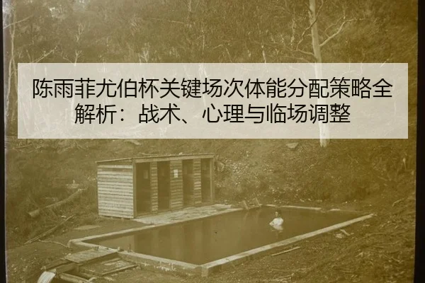 chen-yu-fei-you-bo-bei-guan-jian-chang-ci-ti-neng-fen-pei-ce-lve-quan-jie-xi-zhan-shu-xin-li-yu-lin-chang-tiao-zheng-3-810.jpg